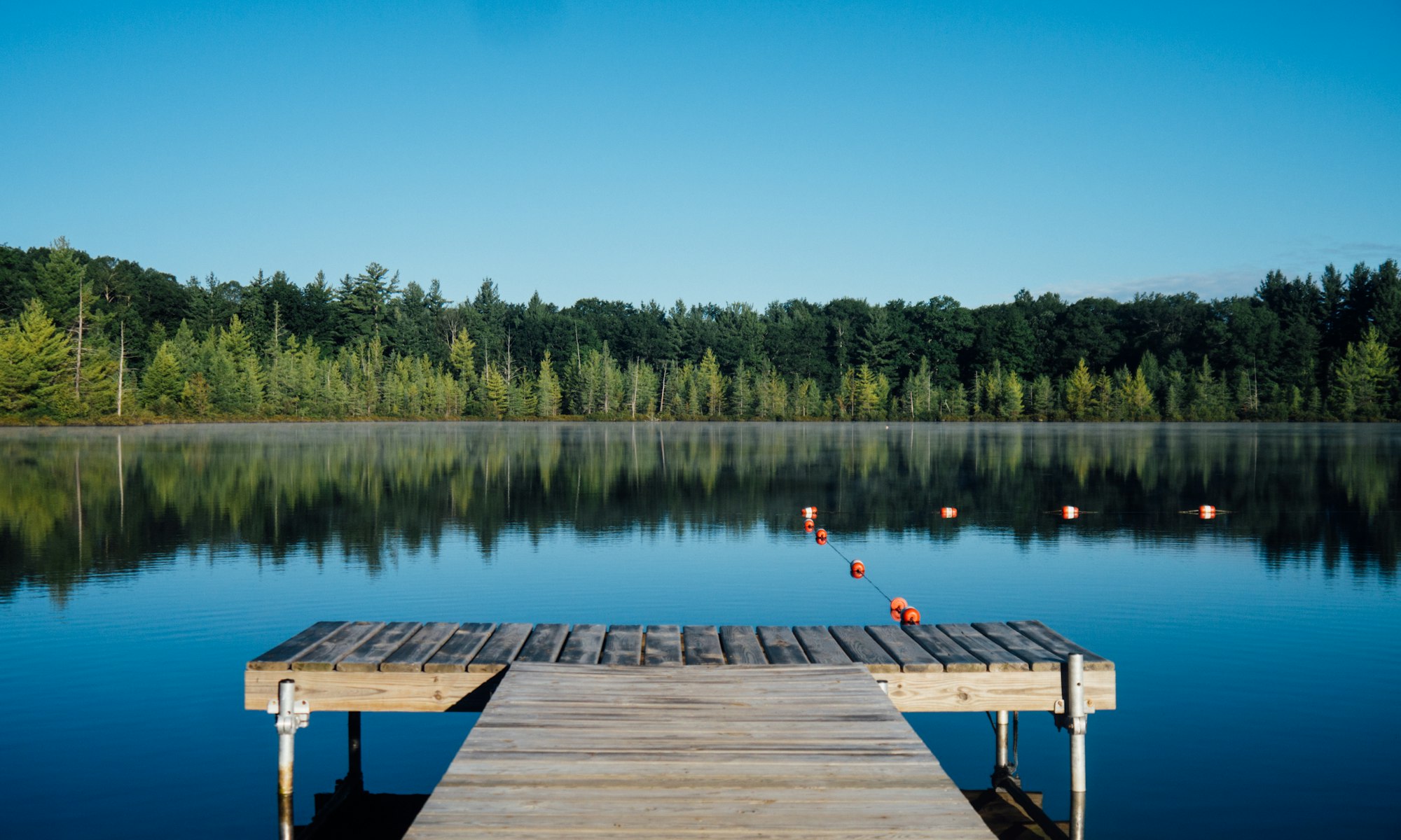 A wooden dock stretching over a calm, tree-lined lake