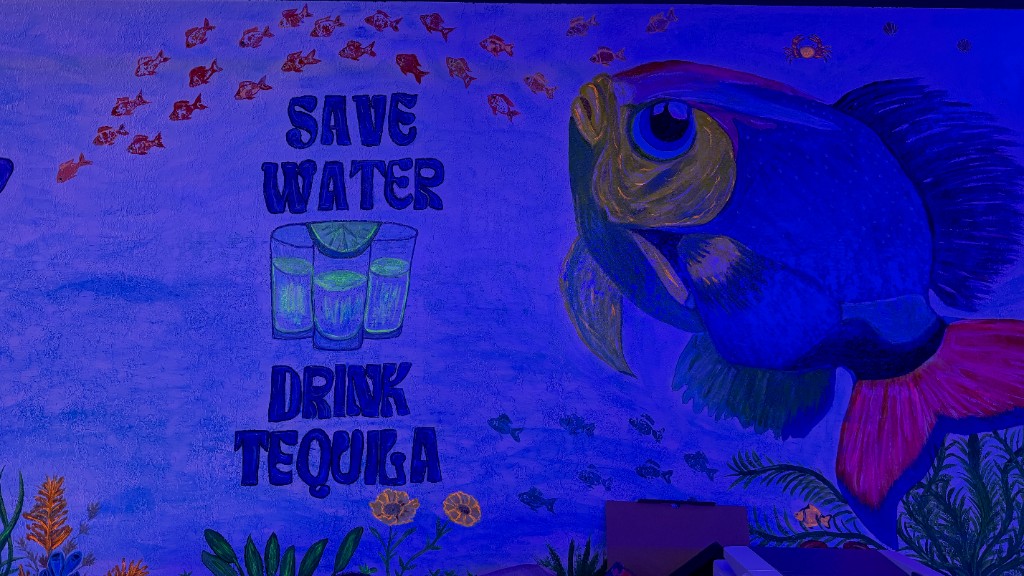 A painted wall reading Save Water Drink Tequila, beside a large fish