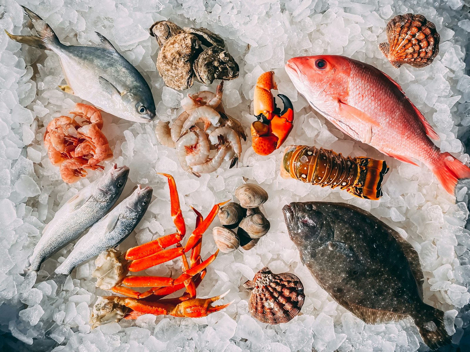 Raw oysters, shrimp, crab, and fish arranged on ice